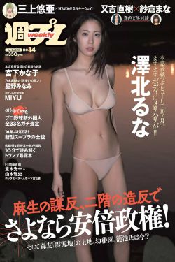 大宋佳