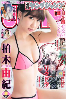 大英雄狄青
